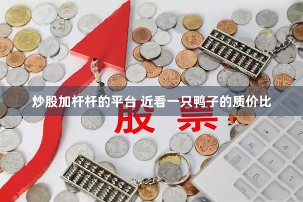 炒股加杆杆的平台 近看一只鸭子的质价比